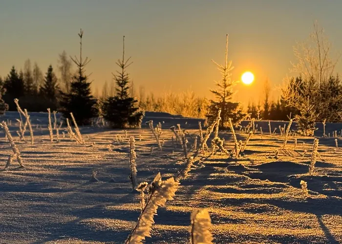 New Sauna House In Near Tartu Holiday home Noo